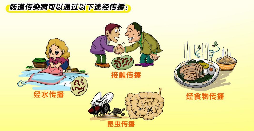 節日飲食衛生指南 預防腸道傳染病